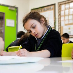 Pupil concentrating in science